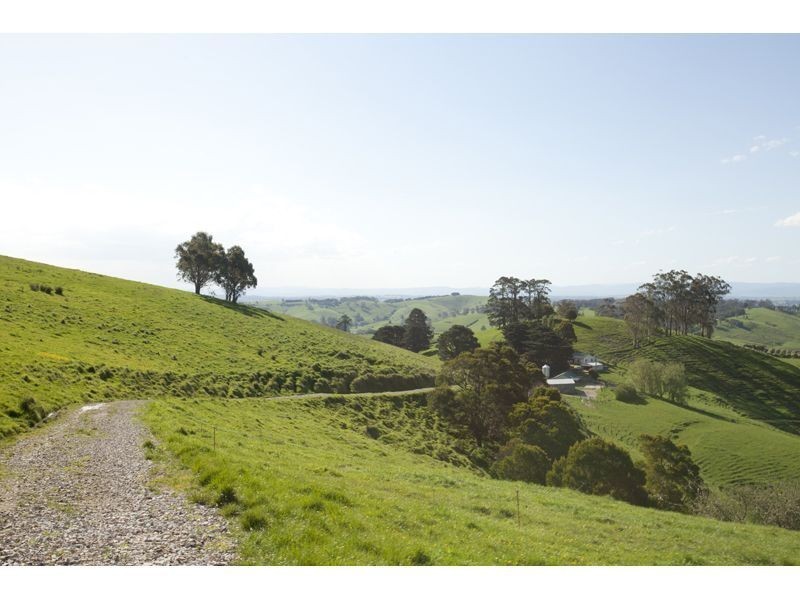 821 Mountain View Road, Mountain View VIC 3988