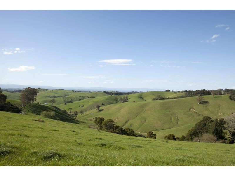 821 Mountain View Road, Mountain View VIC 3988