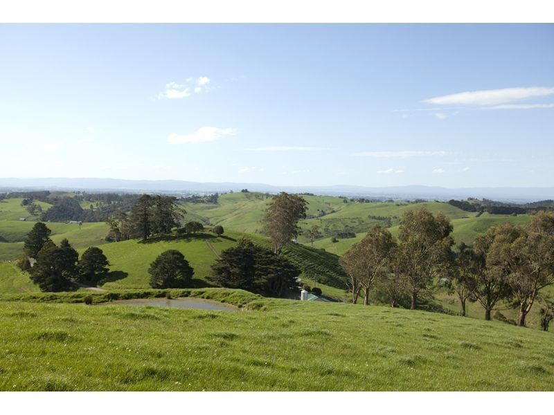 821 Mountain View Road, Mountain View VIC 3988