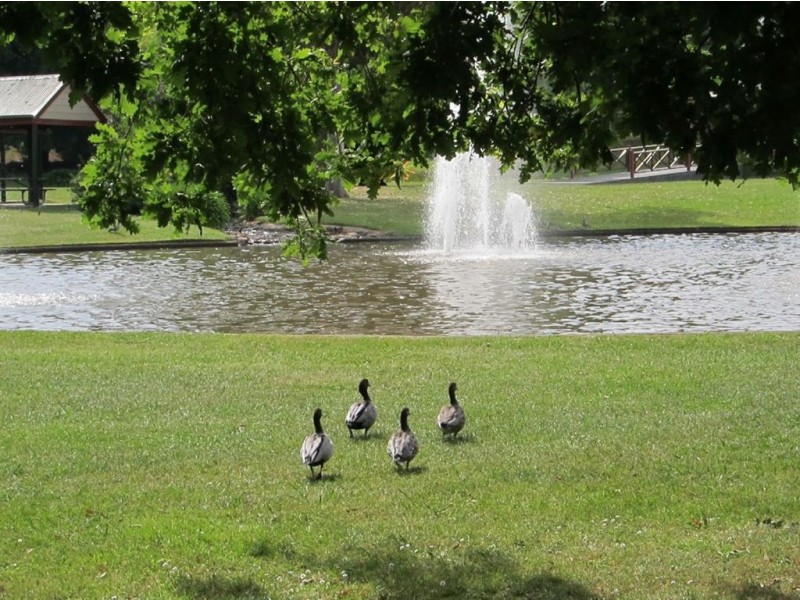 31 Kent Street, Warragul VIC 3820