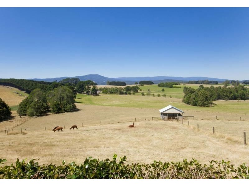 35 Olsson Road, Neerim North VIC 3832