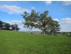 201 Dollarburn Road, Warragul VIC 3820