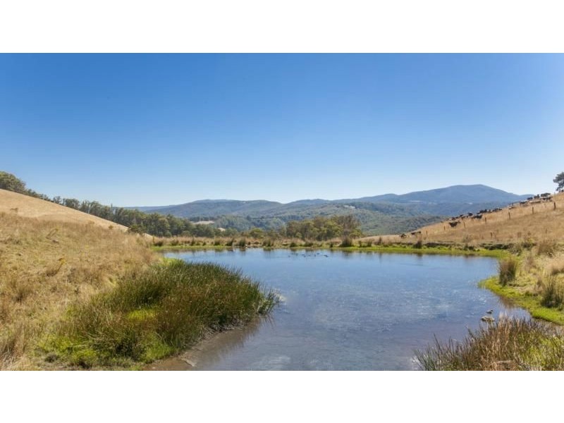 53 Kuhnell Road, Neerim North VIC 3832