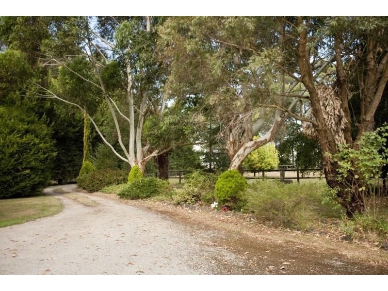 153 Darnum Shady Creek Road, Darnum VIC 3822