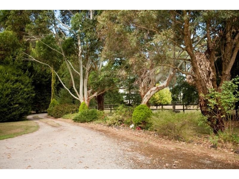 153 Darnum Shady Creek Road, Darnum VIC 3822