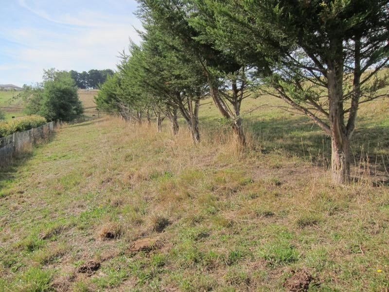 13 Kelliher Road, Neerim North VIC 3832