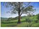 30 Van Ess Road, Ferndale VIC 3821