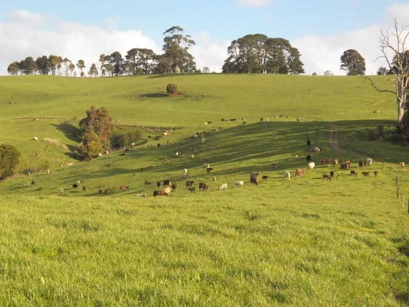 600 Mirboo North-Trafalgar Road, Trafalgar South VIC 3824