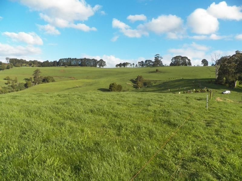 600 Mirboo North-Trafalgar Road, Trafalgar South VIC 3824