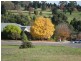 172 Bowen Street, Warragul VIC 3820
