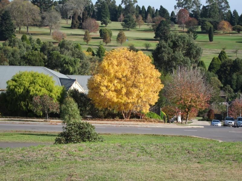 172 Bowen Street, Warragul VIC 3820