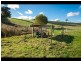 Lot 2 Christies Road, Warragul VIC 3820