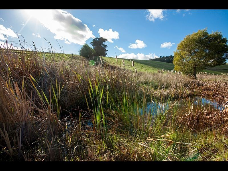Lot 2 Christies Road, Warragul VIC 3820