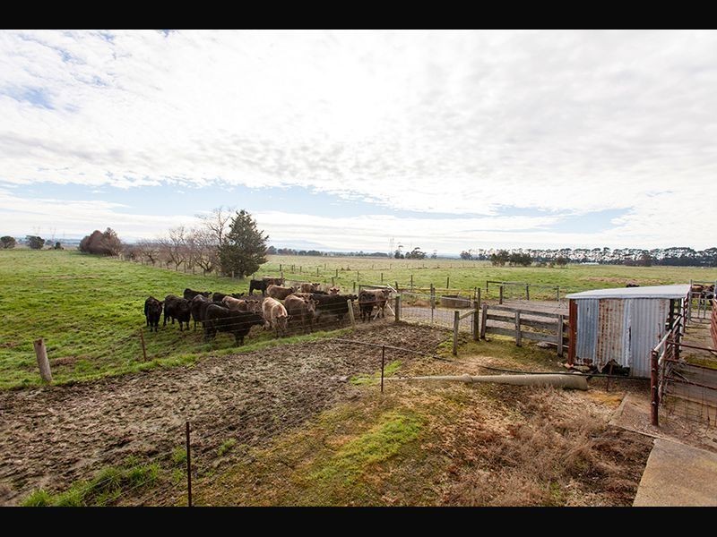 810 Waterloo Road, Trafalgar VIC 3824
