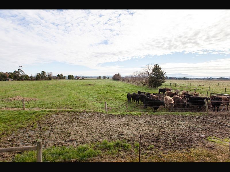 810 Waterloo Road, Trafalgar VIC 3824