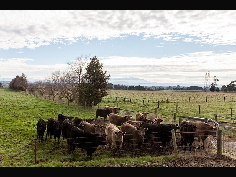 810 Waterloo Road, Trafalgar VIC 3824