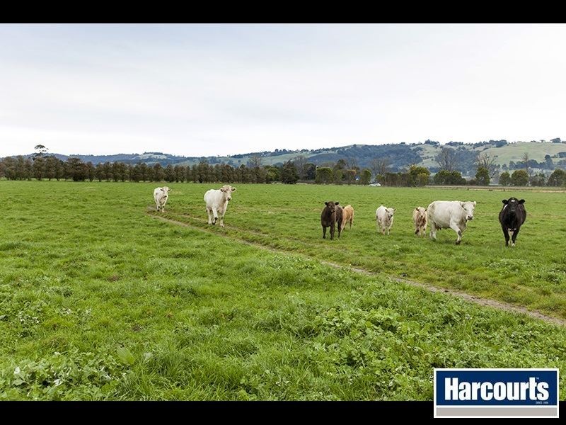 1704 Waterloo Road, Yarragon VIC 3823