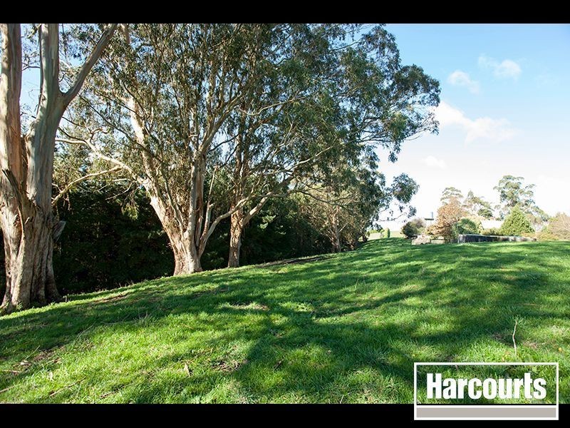 21 Seaview School Road, Seaview VIC 3821