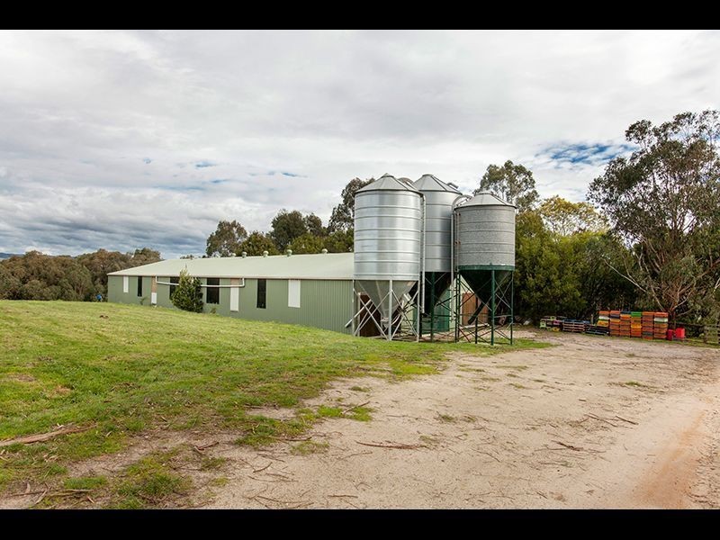 202 Araluen Road, Yarragon VIC 3823