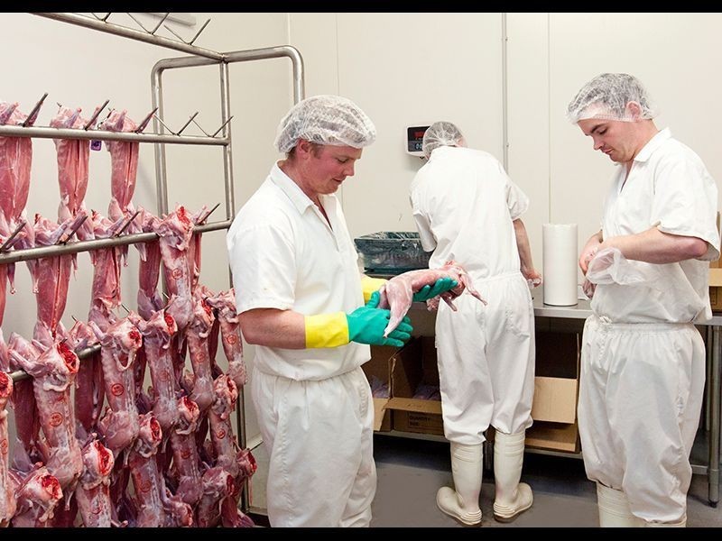 202 Araluen Road, Yarragon VIC 3823