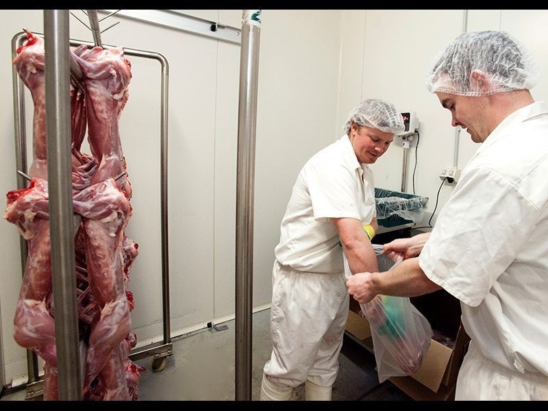 202 Araluen Road, Yarragon VIC 3823