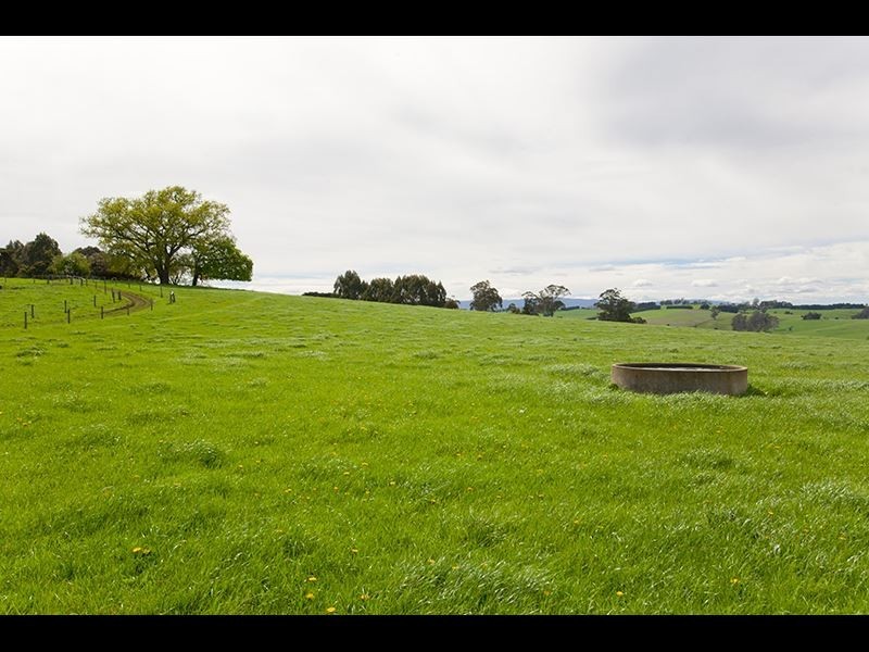 195 Sheffield Road, Neerim South VIC 3831