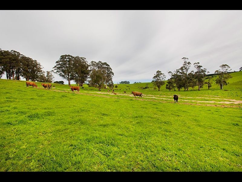 195 Sheffield Road, Neerim South VIC 3831