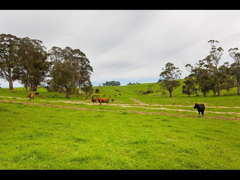 195 Sheffield Road, Neerim South VIC 3831