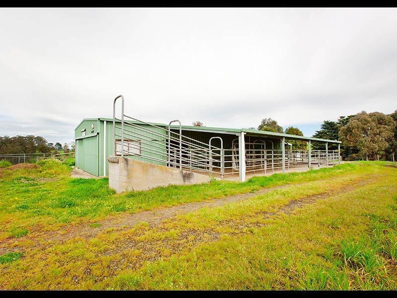 195 Sheffield Road, Neerim South VIC 3831