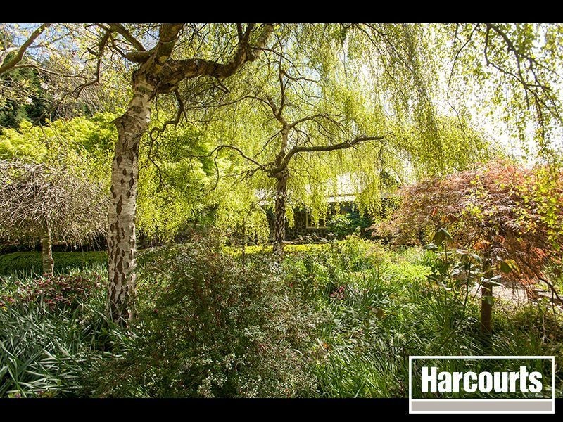 35 Olsson Road, Neerim North VIC 3832