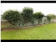 26 Centre Avenue, Warragul VIC 3820