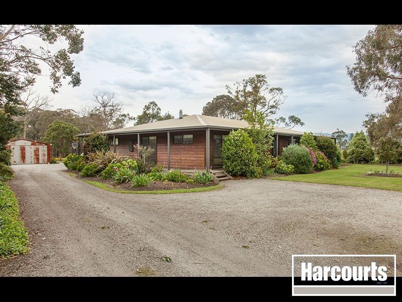97 Darnum Allambee Road, Darnum VIC 3822
