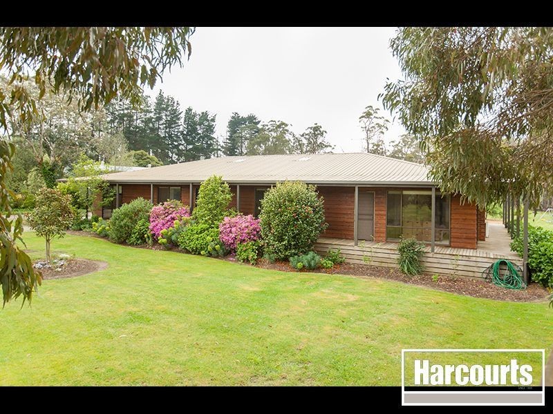 97 Darnum Allambee Road, Darnum VIC 3822