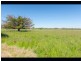 147 Yarragon Shady Creek Road, Yarragon VIC 3823