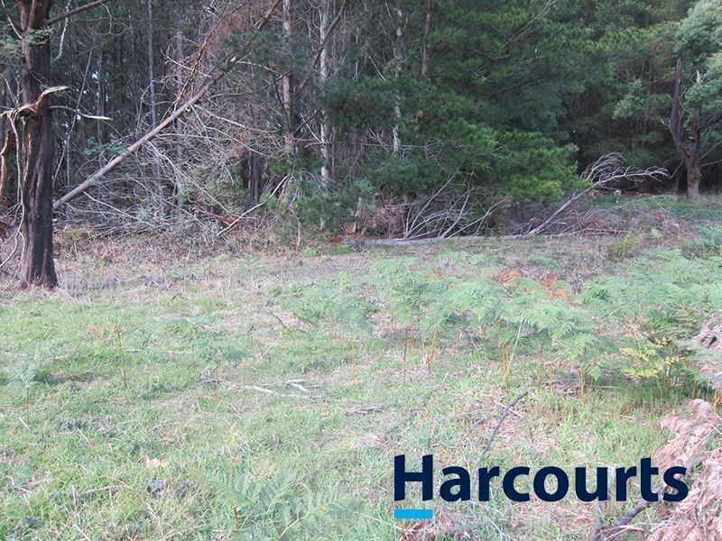 790 Brandy Creek Road, Buln Buln VIC 3821