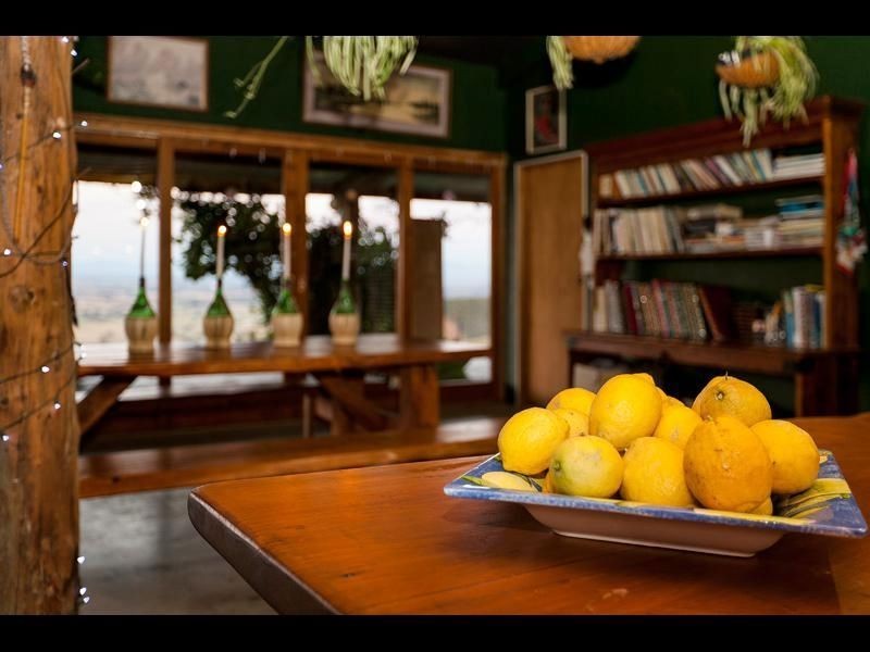 210 Petersons Road, Ellinbank VIC 3821