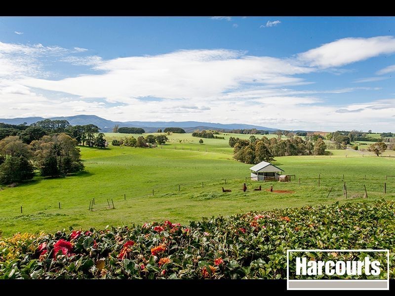 35 Olsson Road, Neerim North VIC 3832