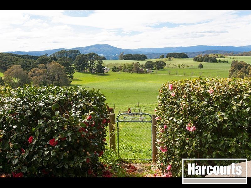 35 Olsson Road, Neerim North VIC 3832