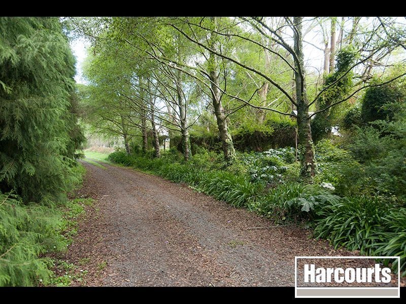 35 Olsson Road, Neerim North VIC 3832