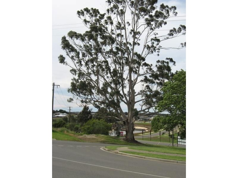 361 Normanby Street, Warragul VIC 3820