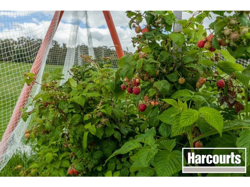 Part 1, 80 Cervi Road, Tanjil South VIC 3825