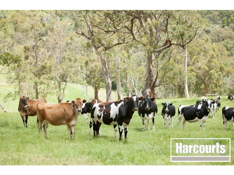 Part 2, 80 Cervi Road, Tanjil South VIC 3825