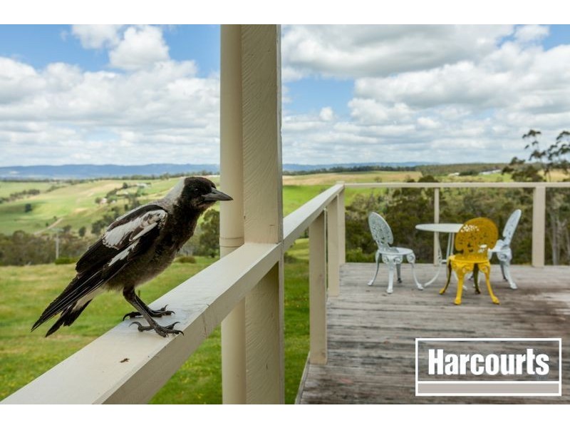 80 Cervi Road, Tanjil South VIC 3825