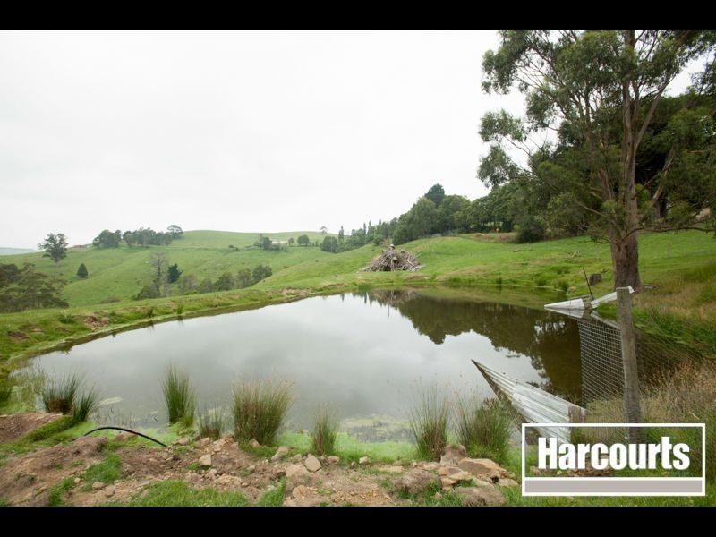2576 Korumburra Warragul Road, Tetoora Road VIC 3821