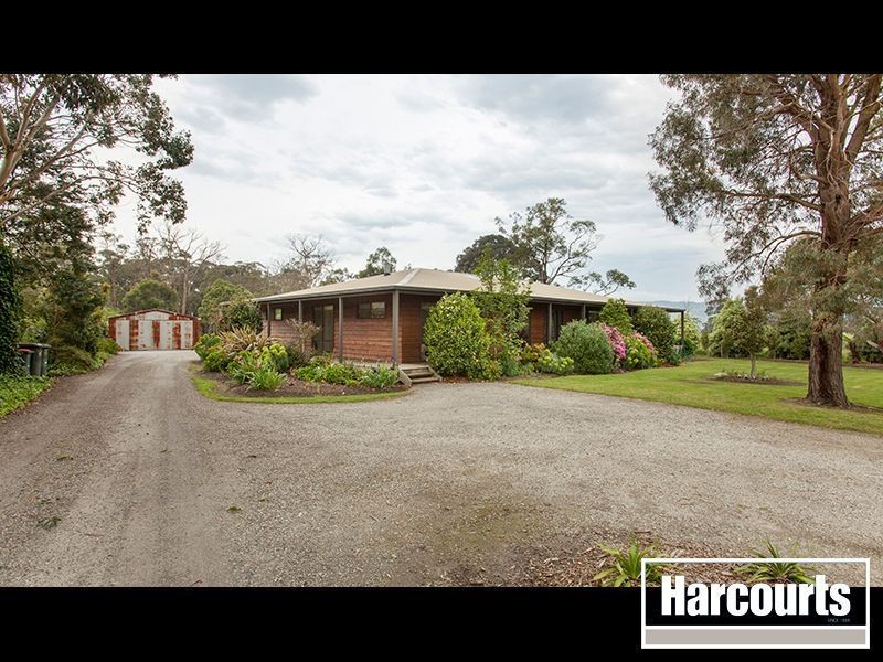 97 Darnum Allambee Road, Darnum VIC 3822