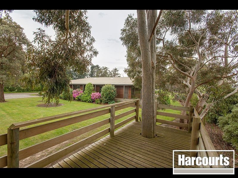 97 Darnum Allambee Road, Darnum VIC 3822