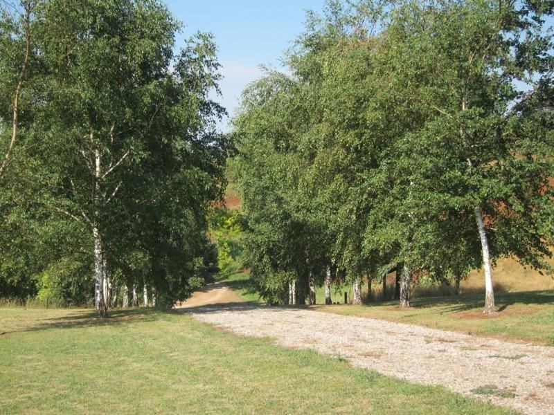 Lot 3 Mirboo North Trafalgar Road, Thorpdale VIC 3835