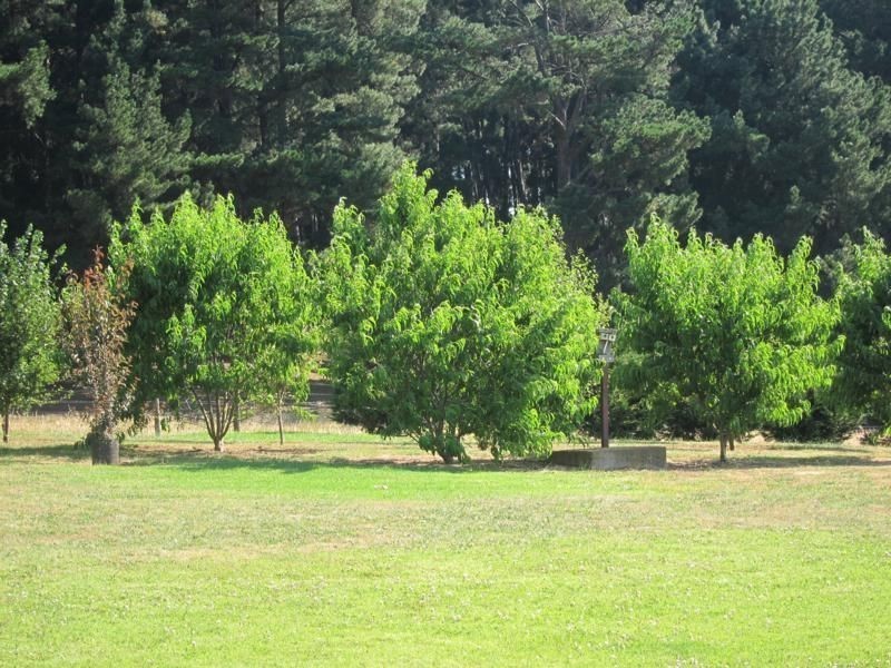 Lot 3 Mirboo North Trafalgar Road, Thorpdale VIC 3835