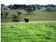1 Corner of Korumburra Warragul Road and Manns Road, Ellinbank VIC 3821