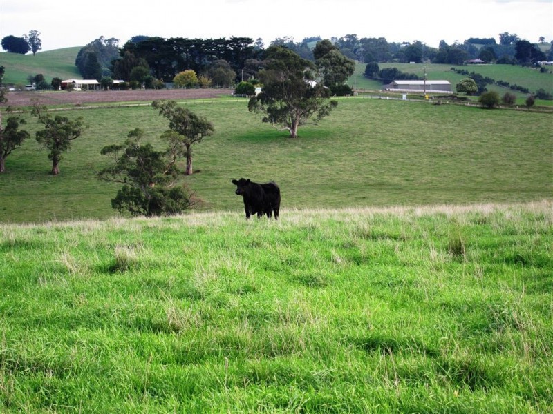 1 Corner of Korumburra Warragul Road and Manns Road, Ellinbank VIC 3821